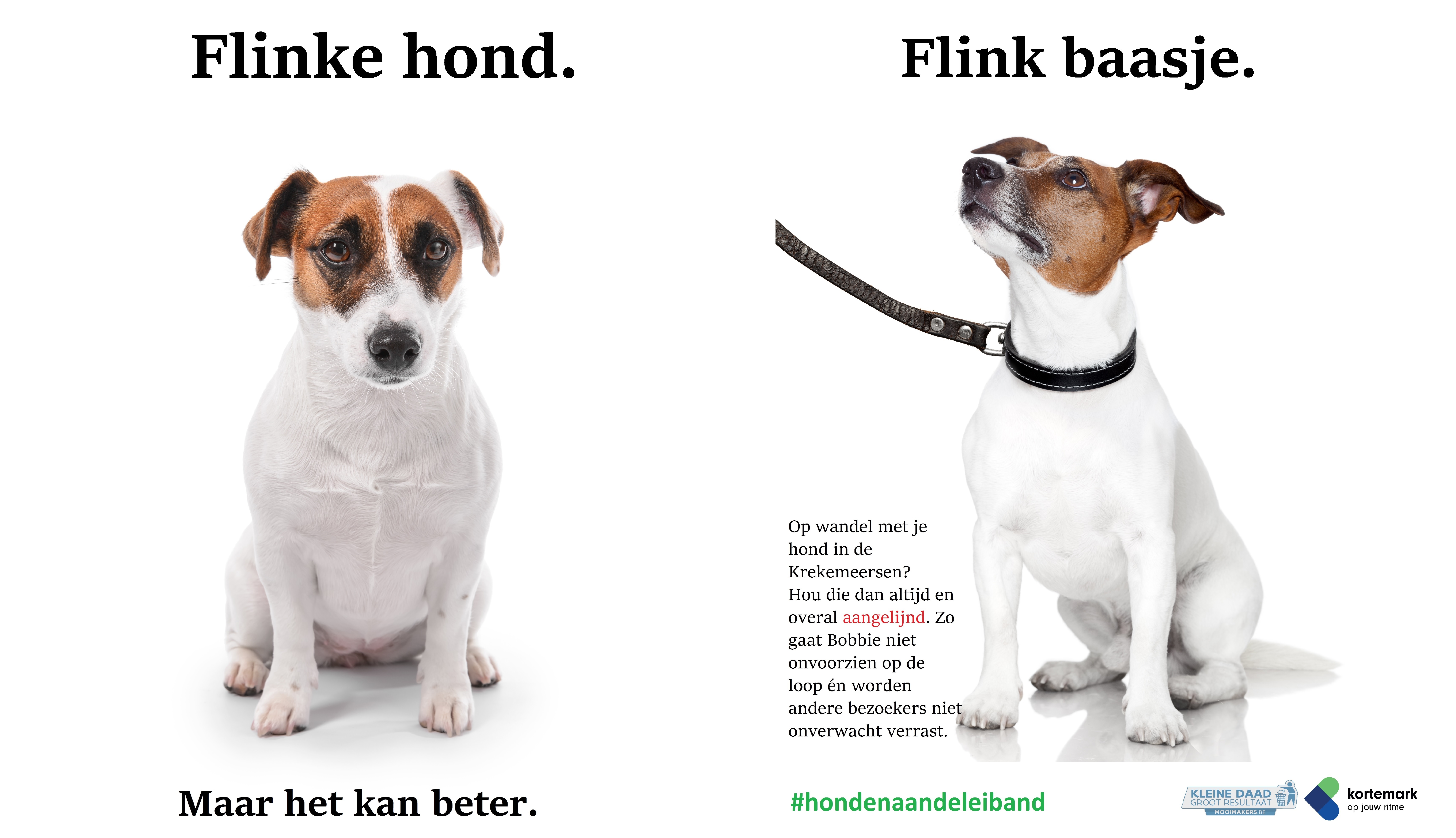 honden aan de leiband