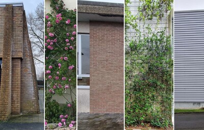 Project Groene Gevels wint 5.000 euro van Kortemarks Burgerbudget
